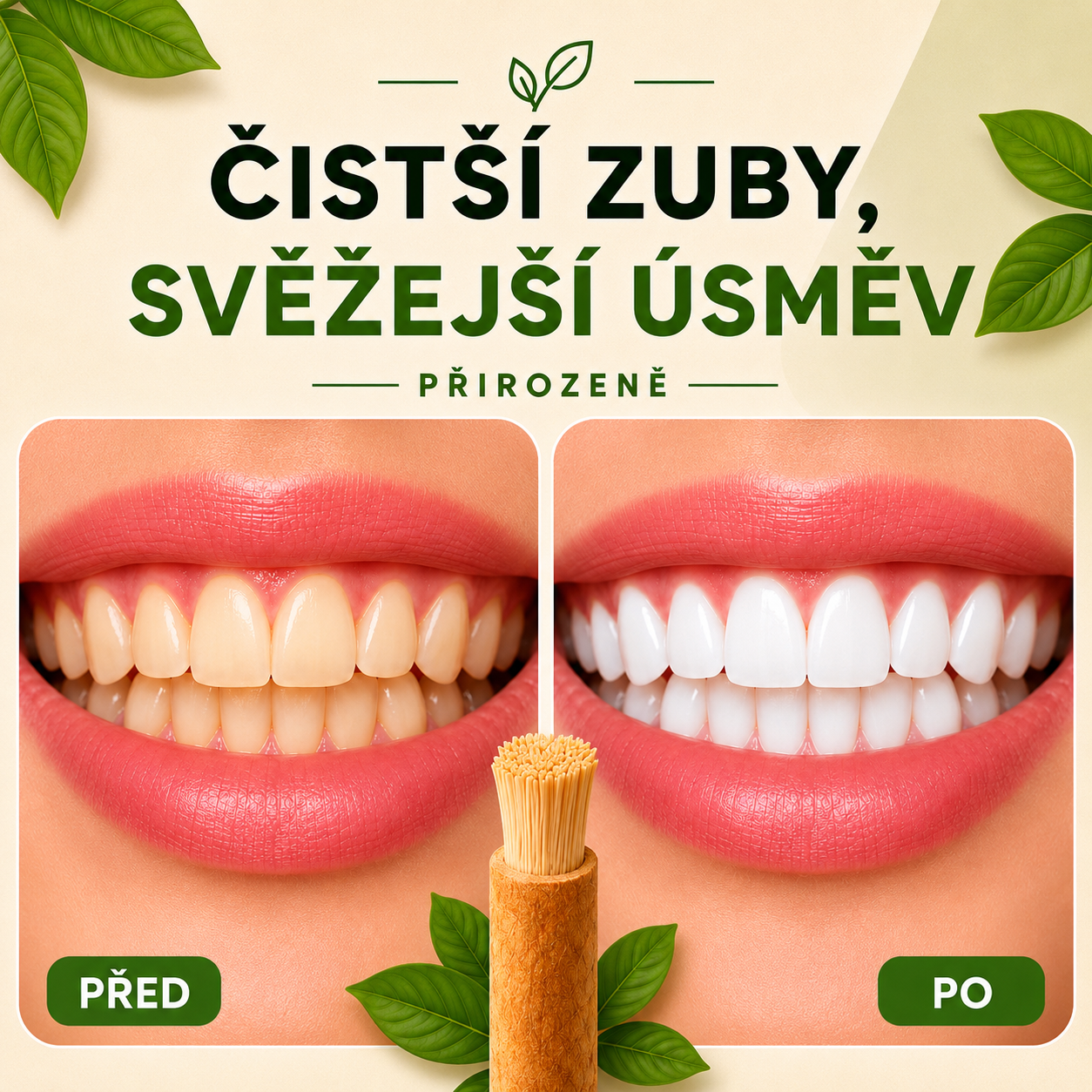 Přírodní zubní kartáček